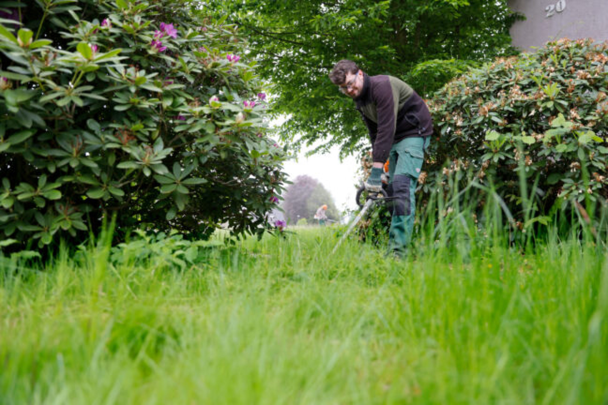 07.05.2025
Recklinghauseen
 Recklinghäuser Werkstätten Grünwerk
Adriano Jelson 
foto: copyright  marco stepniak  -  
mobil  +49 171 2771906 ,  marco@stepniak-bild.de